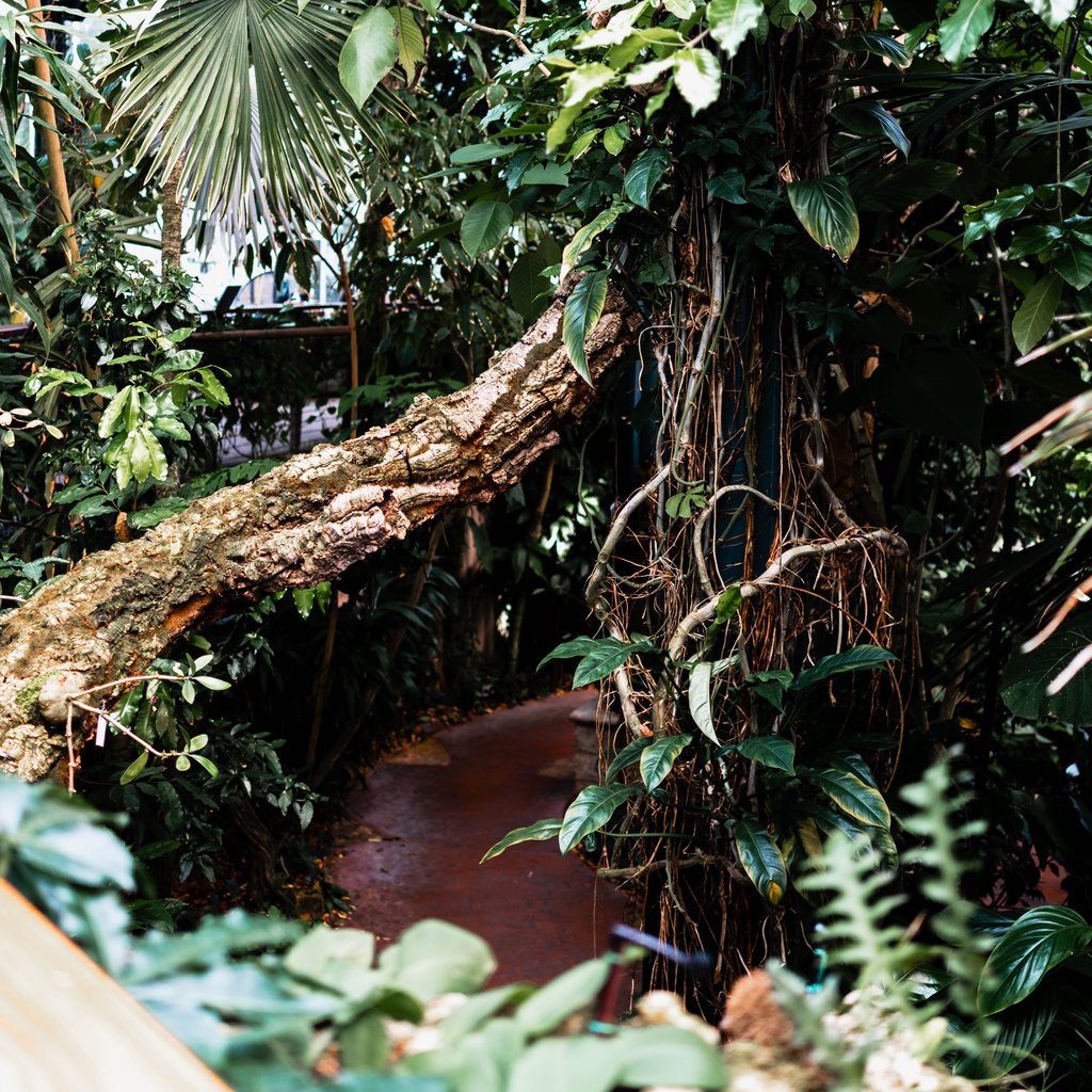 AMP04480 (2025-07-20T18_17_28.475).jpg