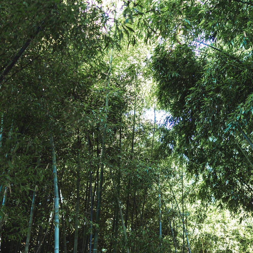 AMP04379 (2025-07-20T18_17_52.685).jpg