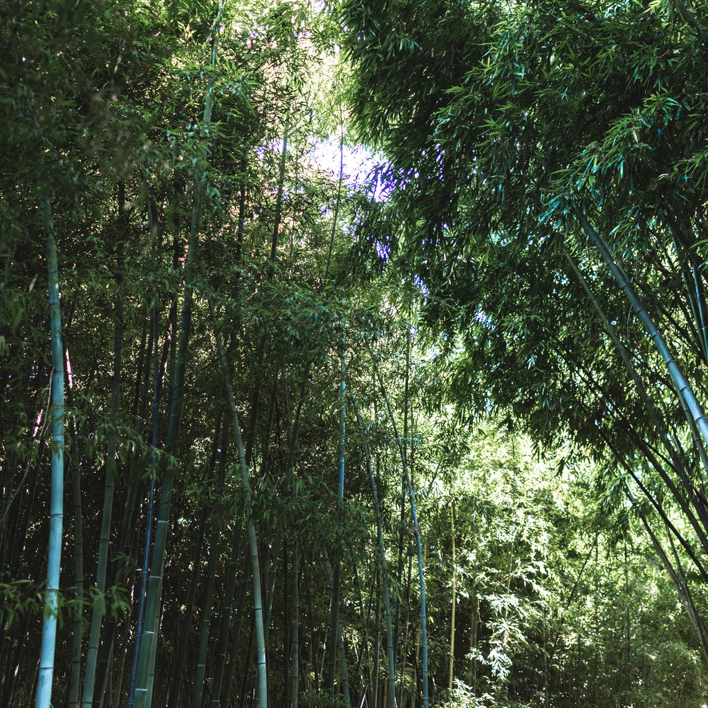 AMP04380 (2025-07-20T18_17_56.111).jpg